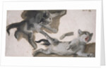 Sketches of a Kitten by Alexandre-Francois Desportes