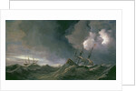 Storm at Sea by Willem van de II Velde