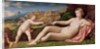 Venus and Cupid, c.1523-24 by Jacopo Palma
