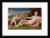 Venus and Cupid, c.1523-24 by Jacopo Palma