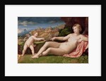 Venus and Cupid, c.1523-24 by Jacopo Palma