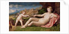 Venus and Cupid, c.1523-24 by Jacopo Palma