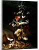 Still life with flowers by Otto Marseus van Schrieck