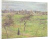 Apple Trees in a Meadow at Eragny, 1894 by Camille Pissarro