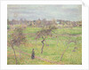 Apple Trees in a Meadow at Eragny, 1894 by Camille Pissarro