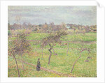 Apple Trees in a Meadow at Eragny, 1894 by Camille Pissarro