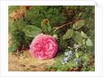 Pink Rose on a Mossy Bank, 1875 by Henry Sutton Palmer