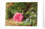 Pink Rose on a Mossy Bank, 1875 by Henry Sutton Palmer