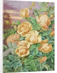 Yellow Roses by Thomas Frederick Collier