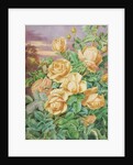 Yellow Roses by Thomas Frederick Collier