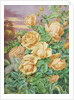 Yellow Roses by Thomas Frederick Collier