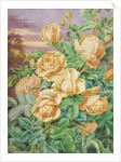 Yellow Roses by Thomas Frederick Collier