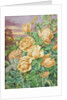 Yellow Roses by Thomas Frederick Collier