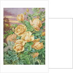 Yellow Roses by Thomas Frederick Collier