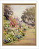 An Herbaceous Border by Harry E. James