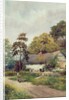 A Country Cottage by F.H. Tyndale