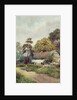 A Country Cottage by F.H. Tyndale