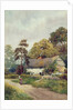 A Country Cottage by F.H. Tyndale