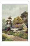 A Country Cottage by F.H. Tyndale