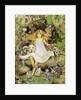 Pansy and the Fairies by Mary Elizabeth Atkins