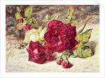 One White and Two Red Roses and Buds by Helen Cordelia Coleman Angell