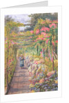 Young Girl Walking under a Rose Pergola by English School