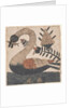 Bird with Fish, Fraktur Painting, c.1810 by American School