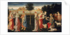 The Judgement of Paris, c.1480 by Master of the Argonaut Panels