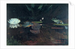 Mink Pond, 1891 by Winslow Homer