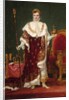 Emperor Napoleon I by Jacques Louis David