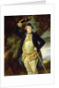 Portrait of George Nassau, 3rd Earl Cowper by Johann Zoffany