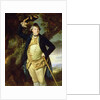 Portrait of George Nassau, 3rd Earl Cowper by Johann Zoffany
