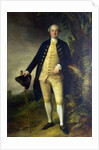 Portrait of William Hall, 2nd Viscount Gage by Thomas Gainsborough