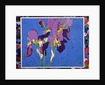 Flag Irises by Frances Treanor