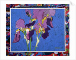 Flag Irises by Frances Treanor