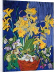 Daffodils with Jug by Frances Treanor