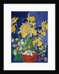 Daffodils with Jug by Frances Treanor