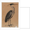 Grey heron by Indian School