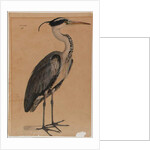 Grey heron by Indian School