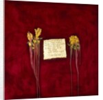 Laxmi, 2007 by Faiza Shaikh