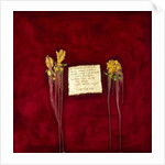 Laxmi, 2007 by Faiza Shaikh