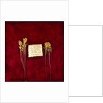 Laxmi, 2007 by Faiza Shaikh