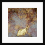 Satyam Shivam Sundaram, 2007 by Faiza Shaikh