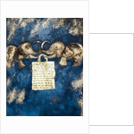 Fortune, 2007 by Faiza Shaikh