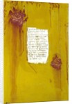 Spring, 2007 by Faiza Shaikh