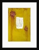 Spring, 2007 by Faiza Shaikh