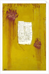 Spring, 2007 by Faiza Shaikh