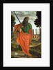 St. Paul, 1520 by Vittore Carpaccio