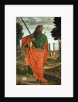 St. Paul, 1520 by Vittore Carpaccio
