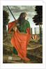 St. Paul, 1520 by Vittore Carpaccio